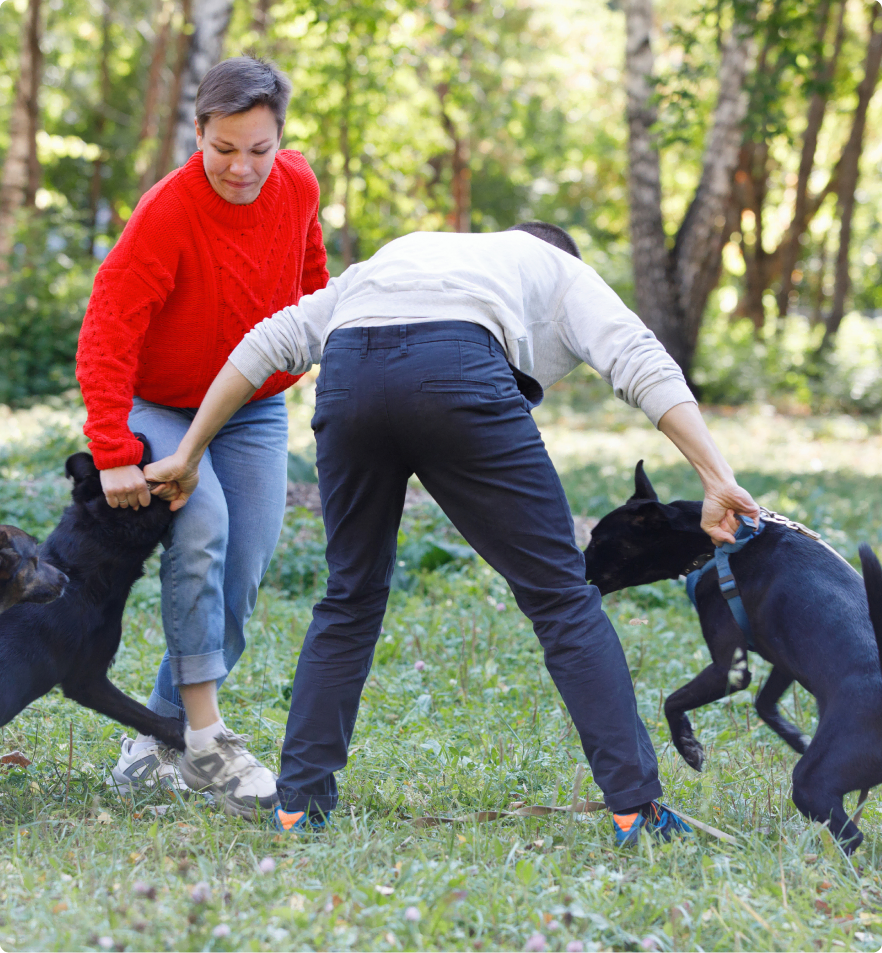 dog-bite--lawyer-california-plan-it-law-medical-bills